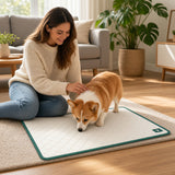 Corgi, salonda serili PatiPed pedini kokluyor