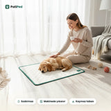 Kahvesini içen kadın ve PatiPed ped üzerinde uyuyan golden yavru